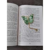 Marque page Papillon vert