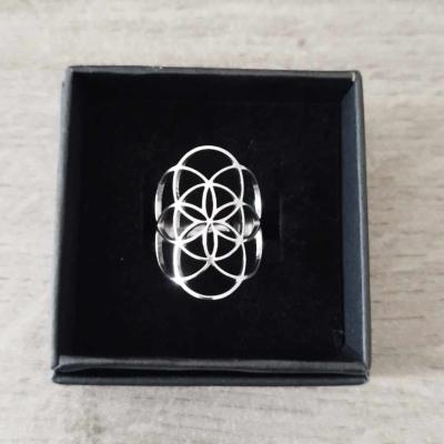 Bague argentée Arya